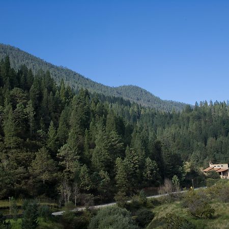 Отель Bosques De Monterreal Сан-Антонио-де-лас-Аласанас Экстерьер фото