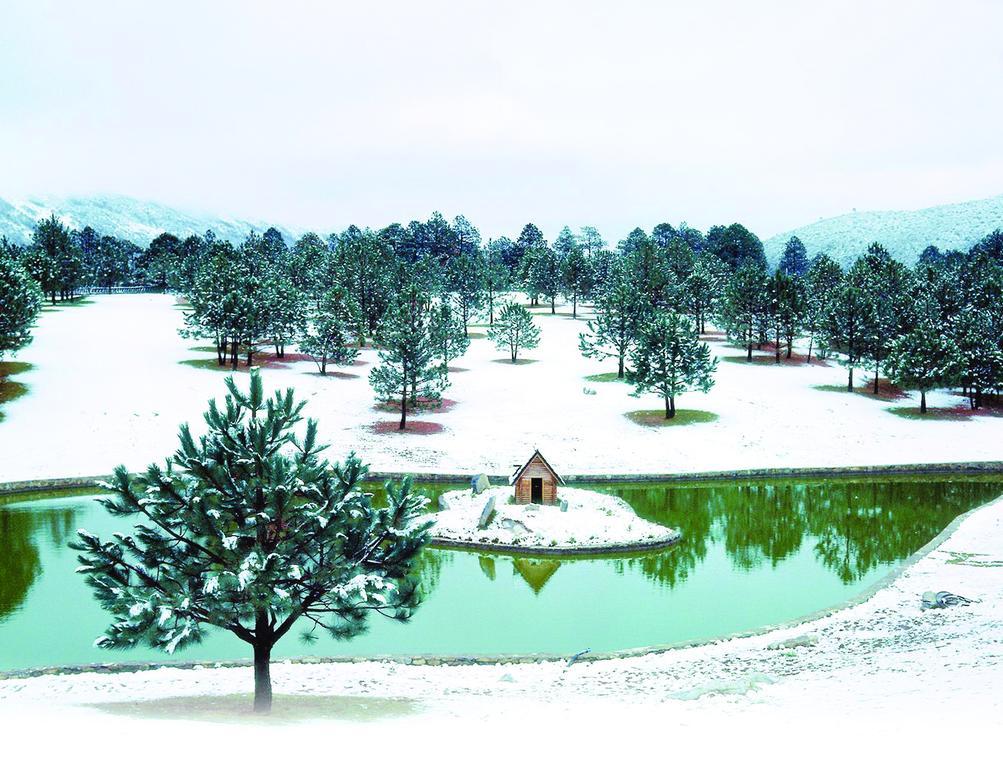 Отель Bosques De Monterreal Сан-Антонио-де-лас-Аласанас Экстерьер фото