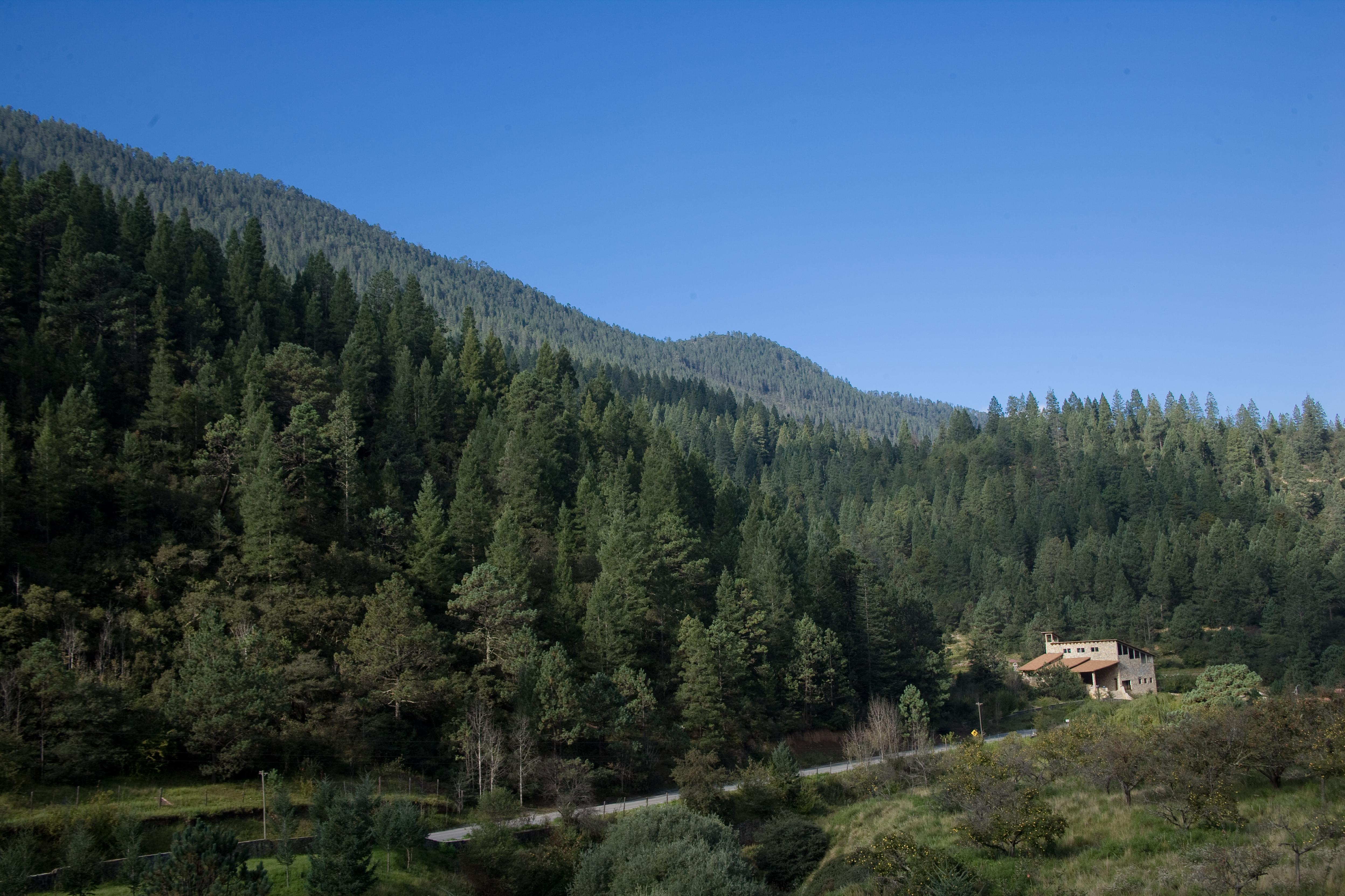 Отель Bosques De Monterreal Сан-Антонио-де-лас-Аласанас Экстерьер фото