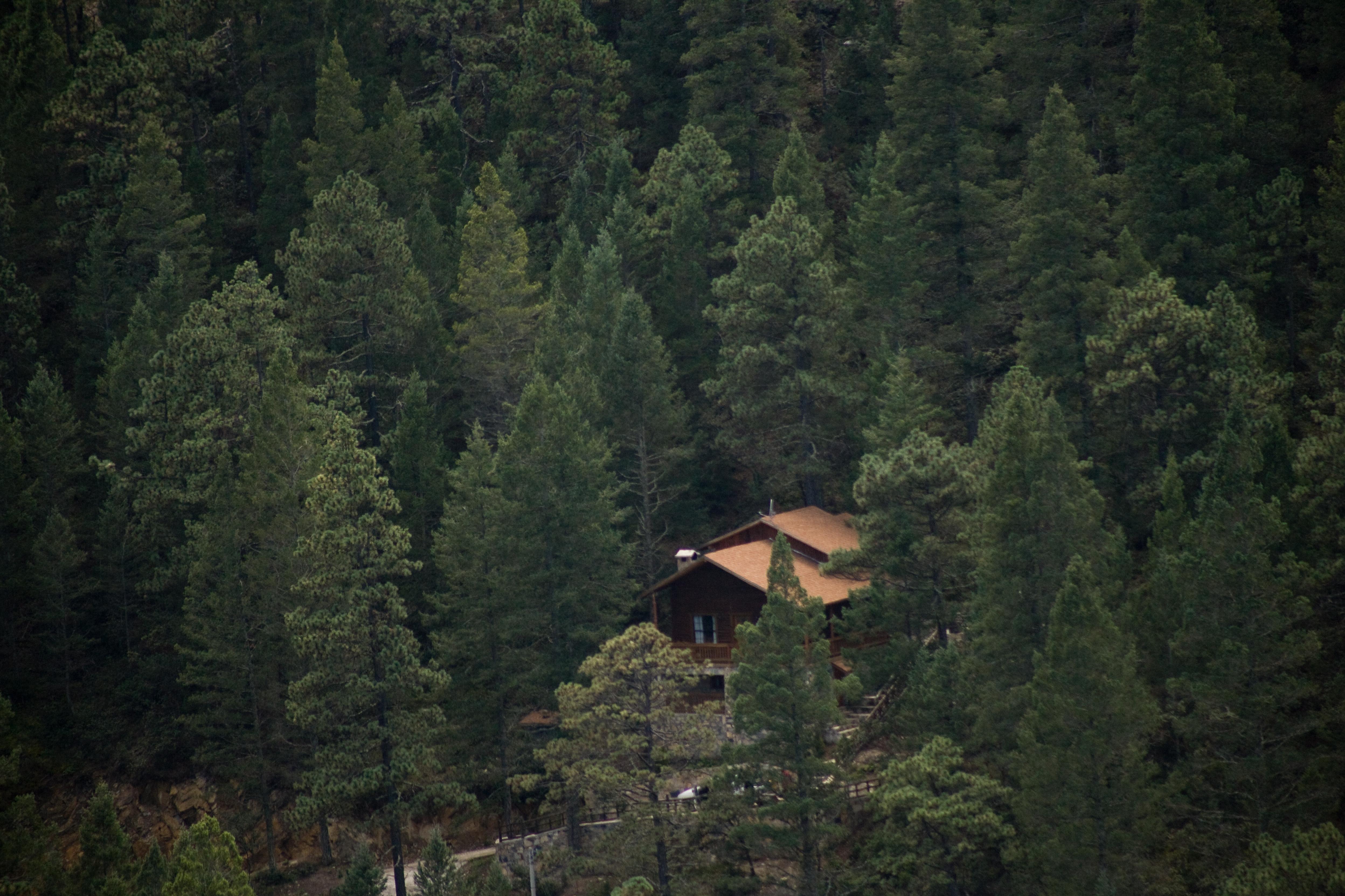 Отель Bosques De Monterreal Сан-Антонио-де-лас-Аласанас Экстерьер фото