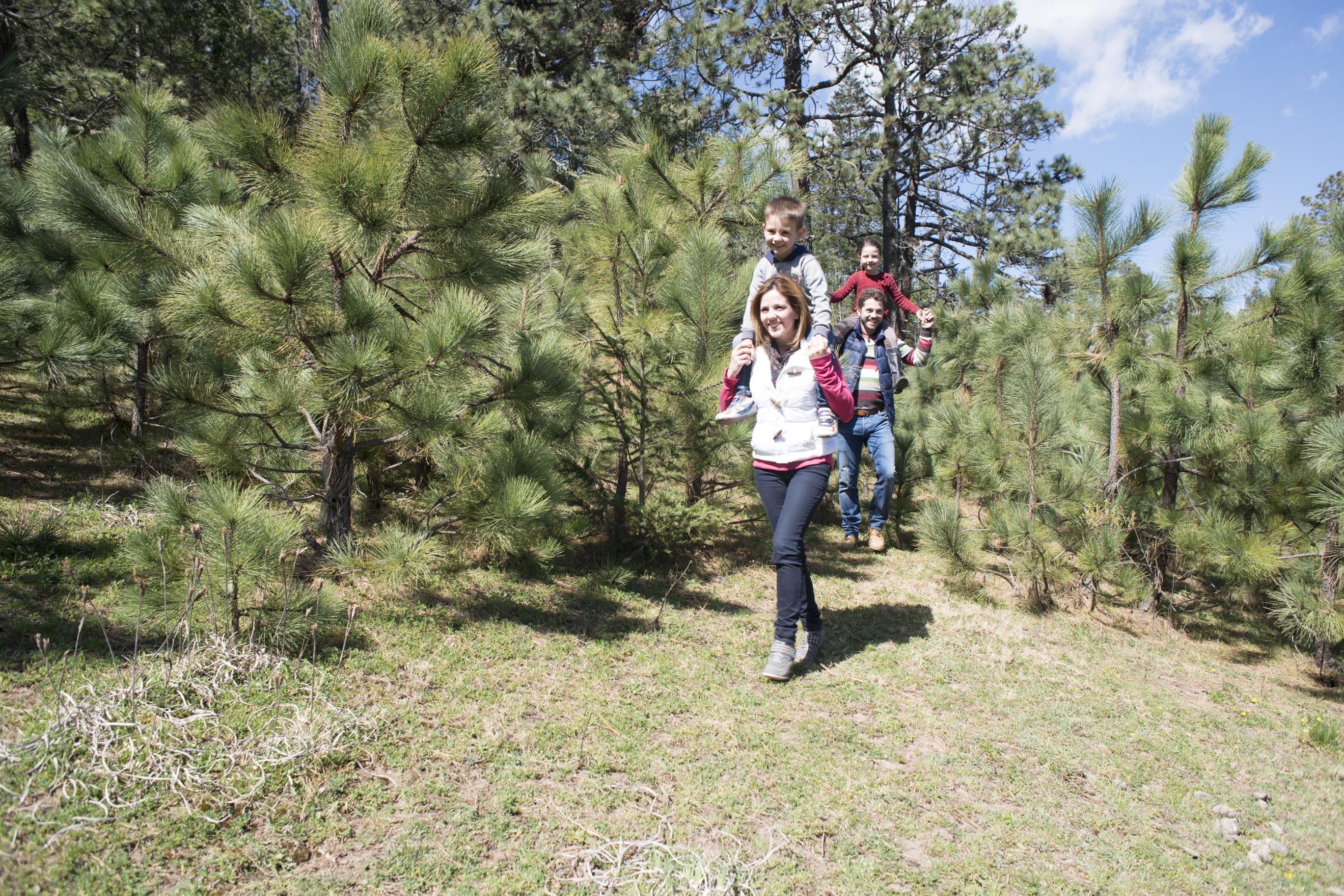 Отель Bosques De Monterreal Сан-Антонио-де-лас-Аласанас Экстерьер фото